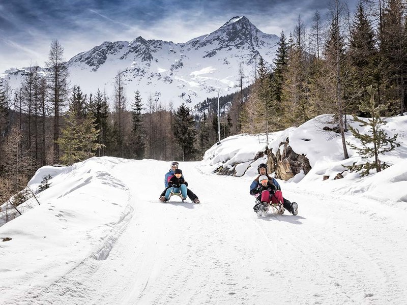 Tobogganing for all ages